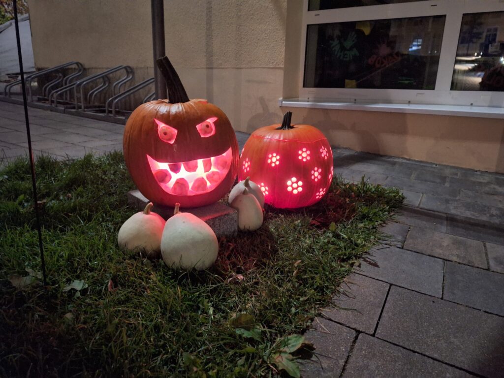 Kürbis schnitzen und Hühnerprojekt